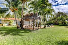 1_54_320a3174_5_6_7_8