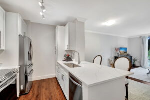 2-web-or-mls-Apartment (2)