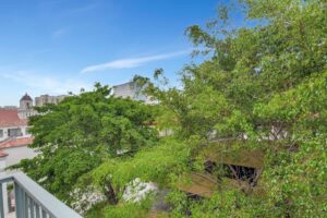 20-web-or-mls-DSC_3596