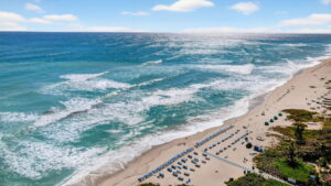 55-web-or-mls-DJI_0286